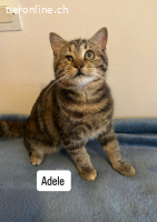 ADELE - IST EIN BESONDERES LIEBENSWERTES MAEDCHEN