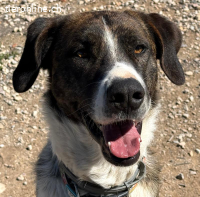 Aire - Liebenswerter Rohdiamant