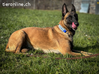 Aktives Zuhause gesucht