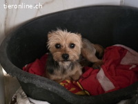 Alea- kleines Mädel sucht ihre Familie