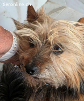 Alea- kleines Mädel sucht ihre Familie