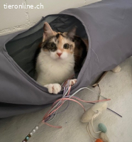 Alma und Barla suchen ihren Hafen