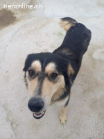 Alwin möchte so gerne gesehen werden