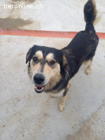 Alwin möchte so gerne gesehen werden