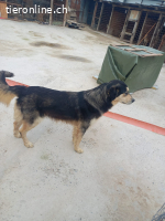 Alwin möchte so gerne gesehen werden