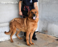 Antwin - irgendwo ist alles schön!