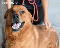 Antwin - irgendwo ist alles schön!