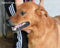 Antwin - irgendwo ist alles schön!