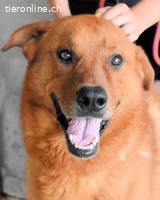 Antwin - irgendwo ist alles schön!