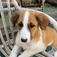 Aohna - will am liebsten dicht an dein Herz kuscheln