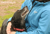 Asteriks – ein richtig guter Freund