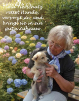 Auffangstation in Ungarn sucht Hilfe