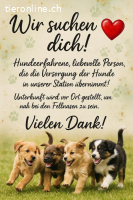 Auffangstation in Ungarn sucht Hilfe