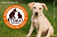 Auffangstation in Ungarn sucht Hilfe