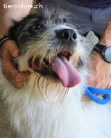 Bahul - Leider, leider, leider....