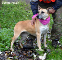 BALIANA - LIEBEVOLL + MENSCHENBEZOGEN sucht ihr Zuhause