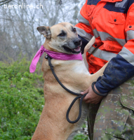BALIANA - LIEBEVOLL + MENSCHENBEZOGEN sucht ihr Zuhause
