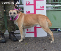 BALIANA - LIEBEVOLL + MENSCHENBEZOGEN sucht ihr Zuhause