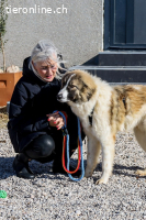 Bandon (ca. 1 Jahr) sucht sein großes Glück