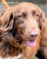 Beckey - Berufswunsch Prinzessin