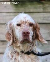 Beto - Mehr Braucht man nicht..