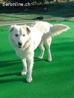 Bianca, die Schüchterne sucht ein ruhiges Zuhause