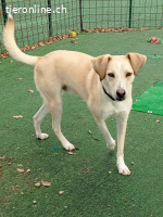 Billy sucht nach Liebe