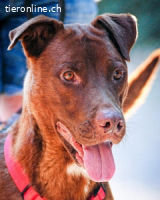 Birdy - Ich glaube, es wird Frühling