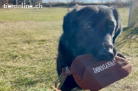 Blacky (6 Jahre) - Das Glück zum Greifen nah