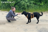 Blacky (6 Jahre) - Das Glück zum Greifen nah