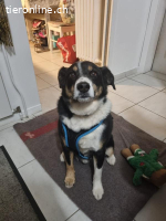 Bless - Naturbursche mit Herz