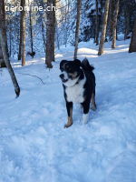 Bless - Naturbursche mit Herz