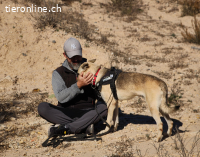Boby - Sozialer und lebensfroher Entdecker