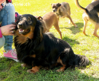 Bogus - ein richtiger Charmeur