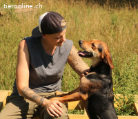 BOOMER - der Hund mit dem richtigen Riecher
