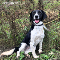 Briana - heisst "die Edle"