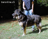 Carolita - Seniorenkörbchen gesucht !