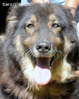 Carolita - und du - ein Dreamteam