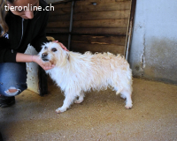 Carthos - Kleiner Mann sucht das Prinzenglück