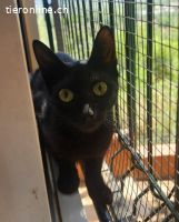 Chanel – auf der Suche nach ihrer Familie