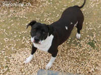 Charmante Nina sucht für immer Körbchen