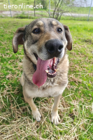 Charmanter Finn möchte die Welt erobern (7 Jahre)