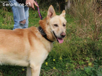 Charmanter Thilo wartet auf sein Ticket ins Glück