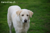 Clara - geht ihren Weg weiter