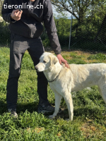 Clara - geht ihren Weg weiter