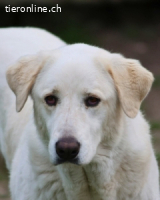 Clara - geht ihren Weg weiter