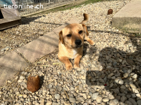 Cream wünscht sich eine Familie