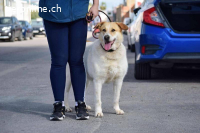 Cuca - träumt von einem schönen Zuhause.