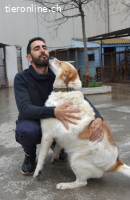 Cuca - träumt von einem schönen Zuhause.