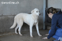 Cyra - Cyra, bald bist auch Du dran!